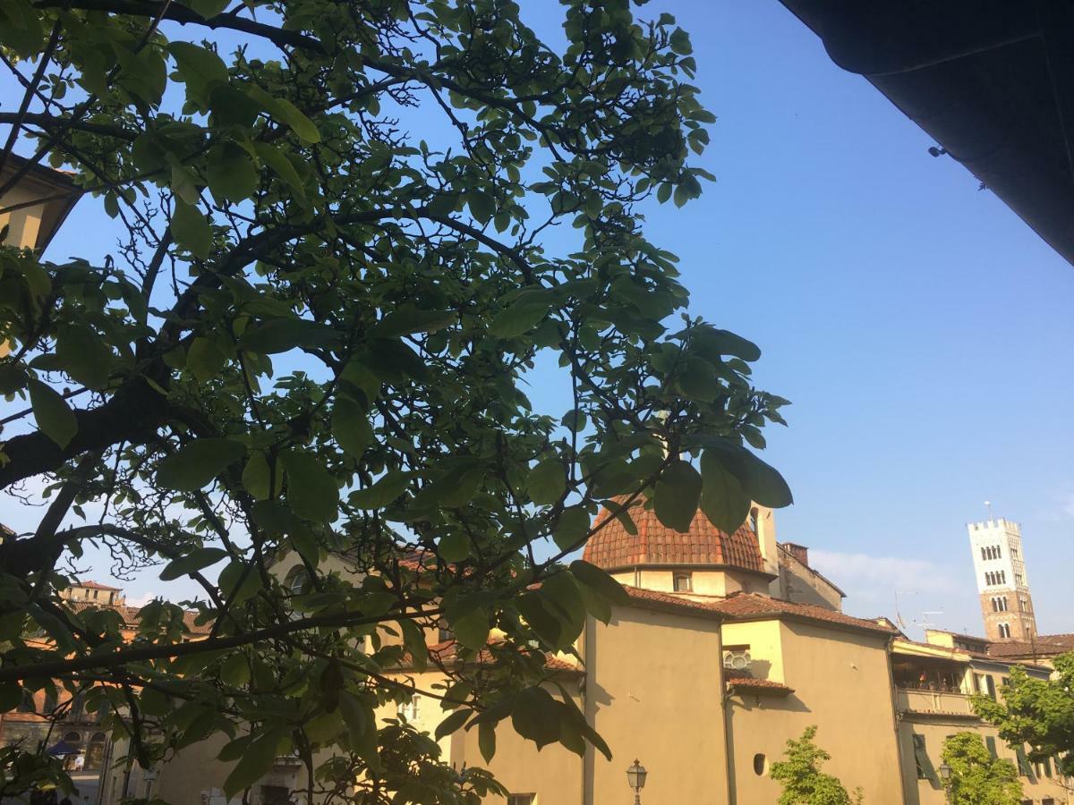 Casa Francesca Apartman Lucca Kültér fotó